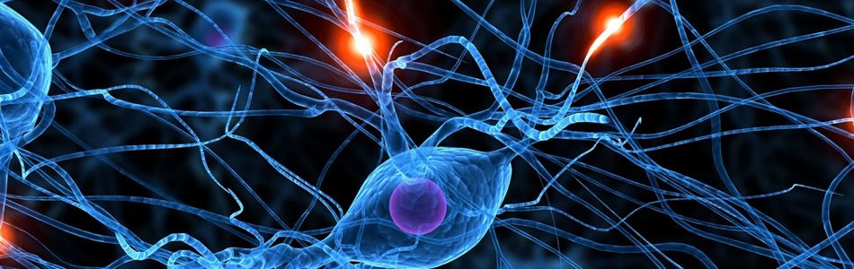 Pós-Graduação em Fisioterapia Neurofuncional - Barão de Mauá